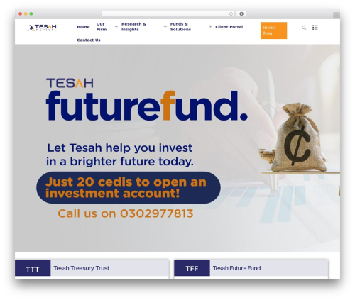 Custom iframe WordPress plugin - tesahcapital.com
