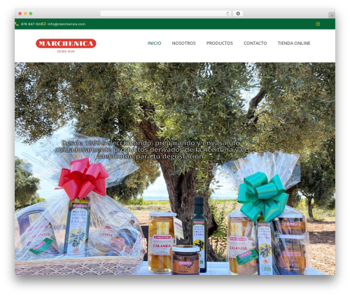 Product_specification_for_elementor WordPress plugin - marchenica.com