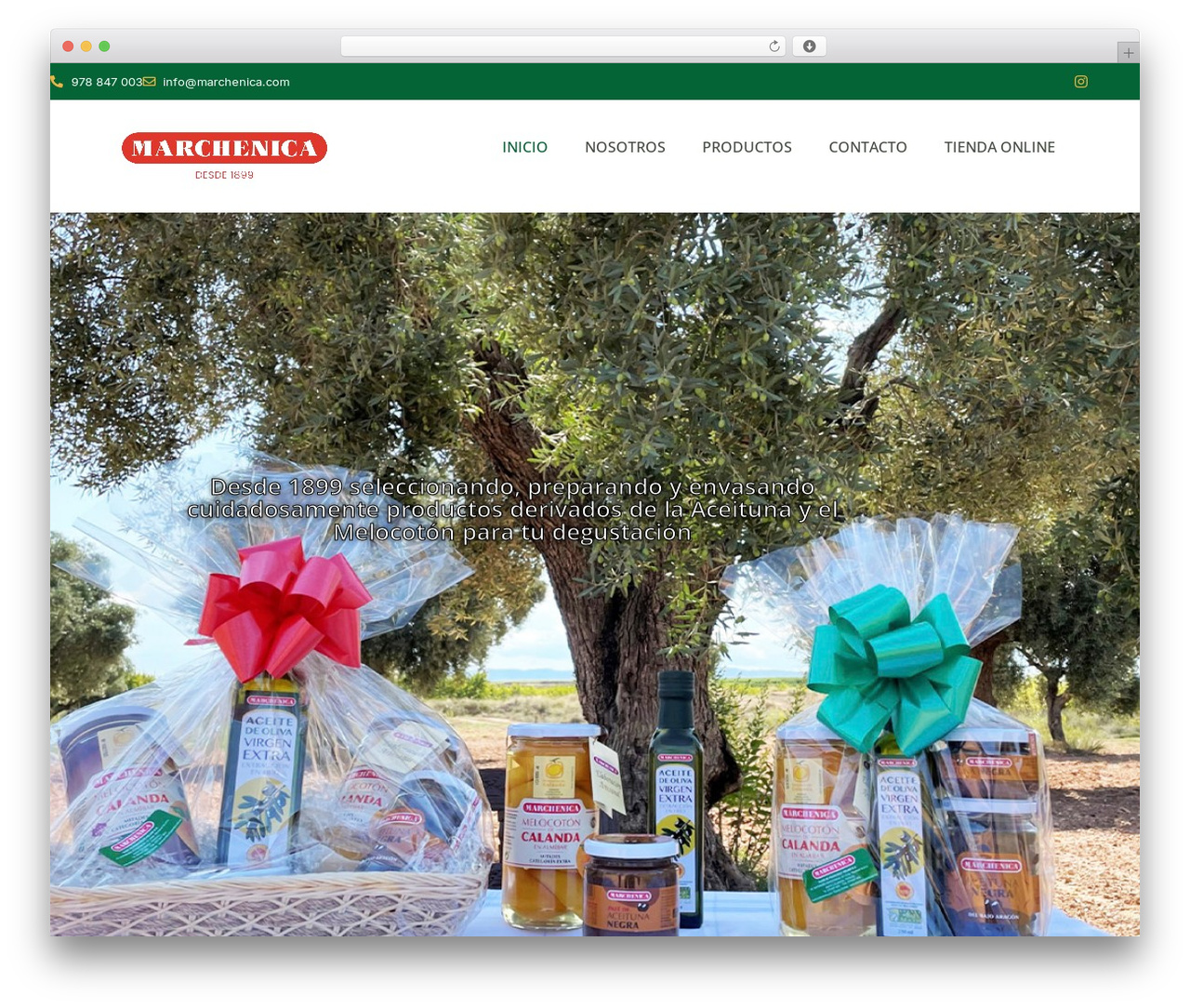 Hello Elementor theme WordPress - marchenica.com