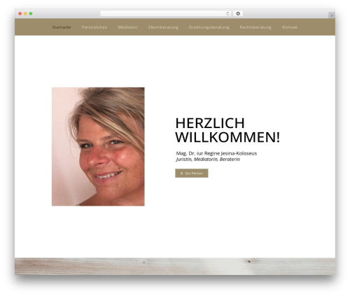 Elementor pro 3 WordPress plugin - mediation-update.com