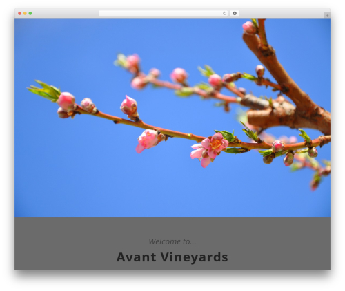 Optimizer PRO WordPress theme - avantvineyards.com Optimizer PRO WordPress theme - avantvineyards.com