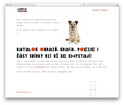 Theme WordPress Divi - hanele.cz