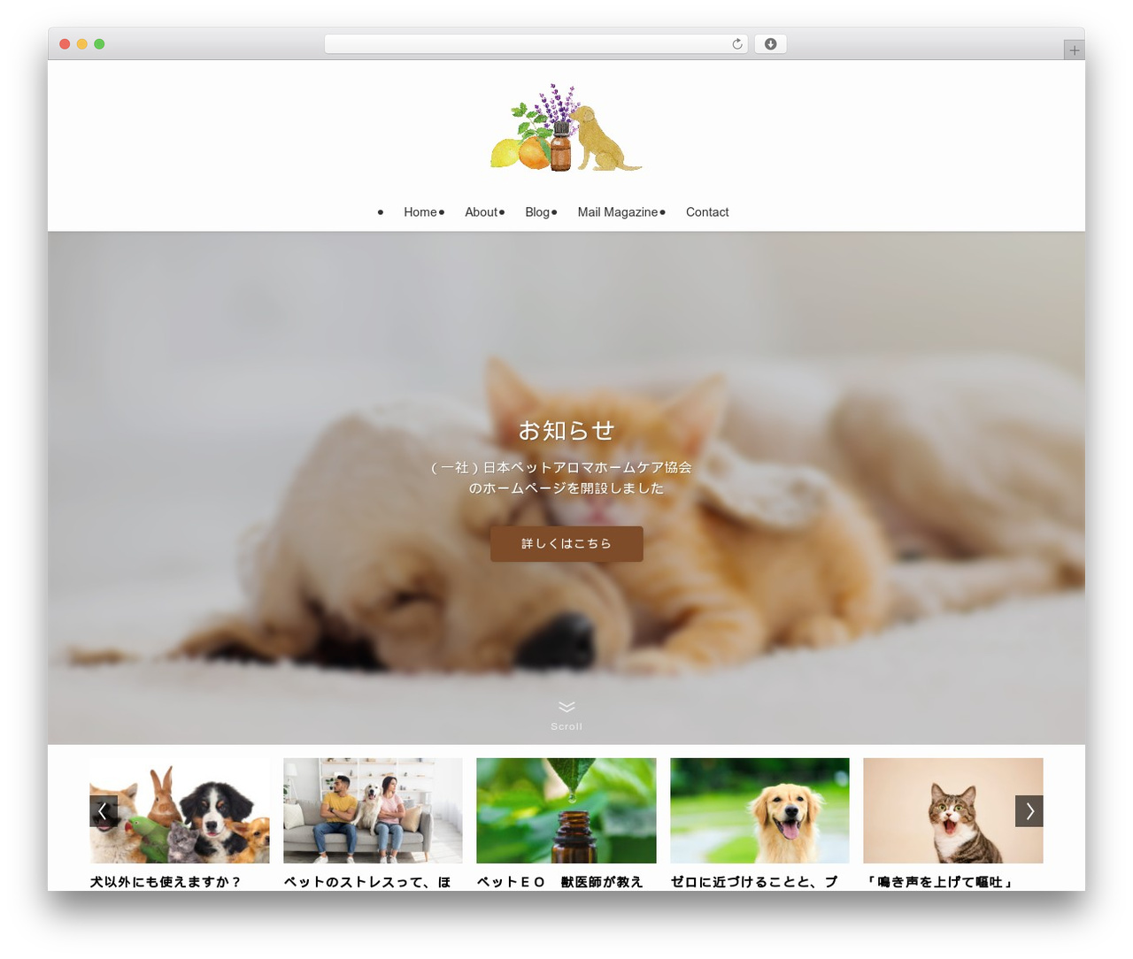 Theme WordPress SWELL - aroma-sunny.com Theme WordPress SWELL - aroma-sunny.com