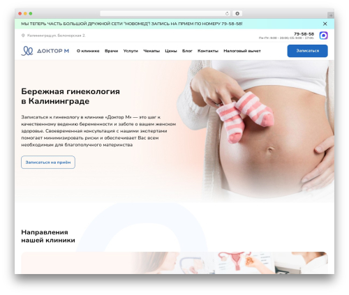 Cookies WordPress plugin - doktorm.ru