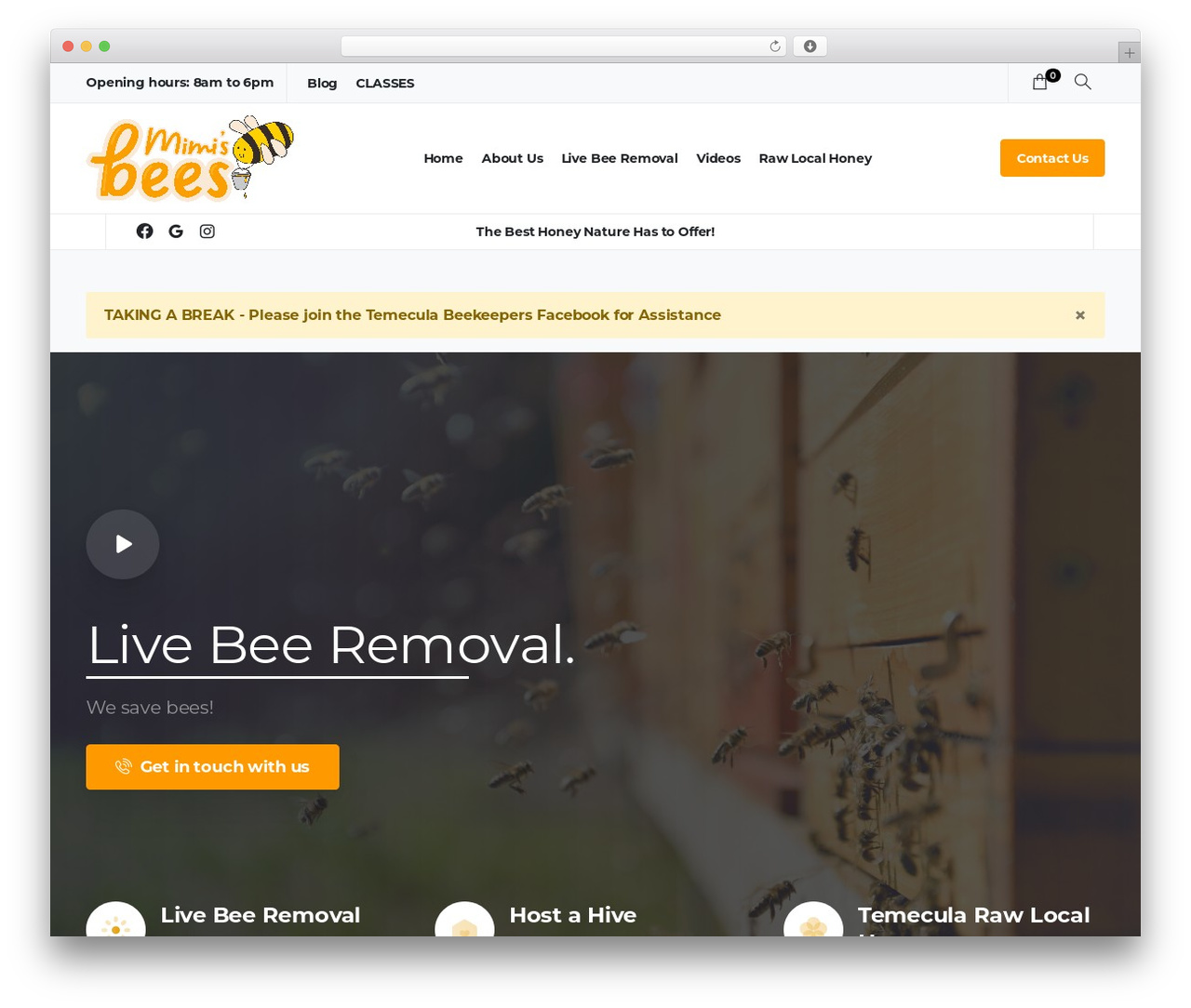 Essentials WordPress website theme - mimisbeerescue.com