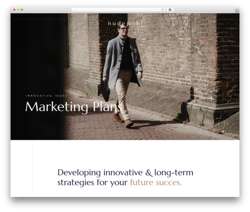 Halstein core WordPress plugin - bashudepohl.com