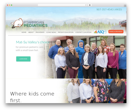 Cherry style switcher WordPress plugin - ptarmiganpediatrics.com