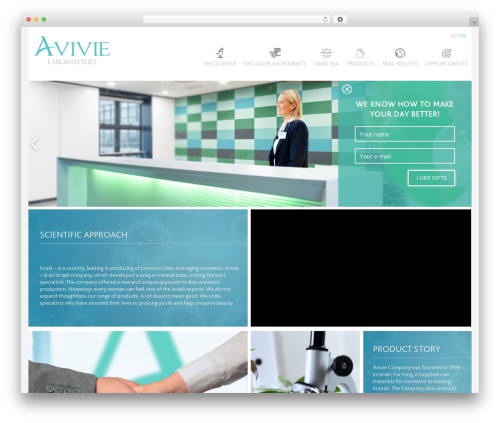 NS Category Widget (ns-category-widget) free WordPress plugin - avivie.com