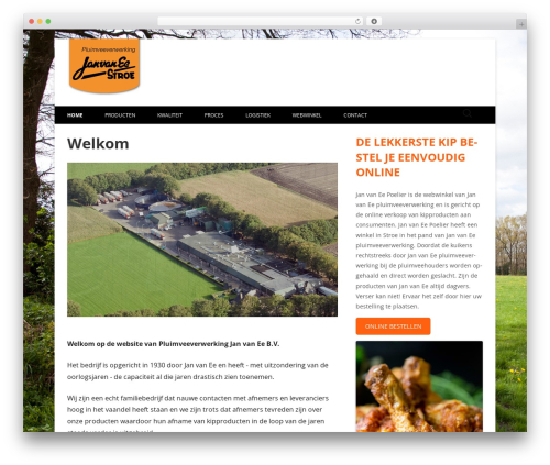 Tiny Framework WordPress theme - janvanee.nl Tiny Framework WordPress theme - janvanee.nl