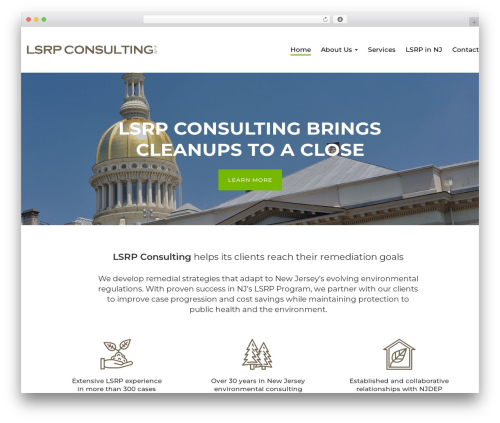 DevDmBootstrap3 WordPress theme - lsrpconsulting.com