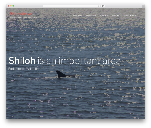 elemento WordPress theme - shilohknow.com