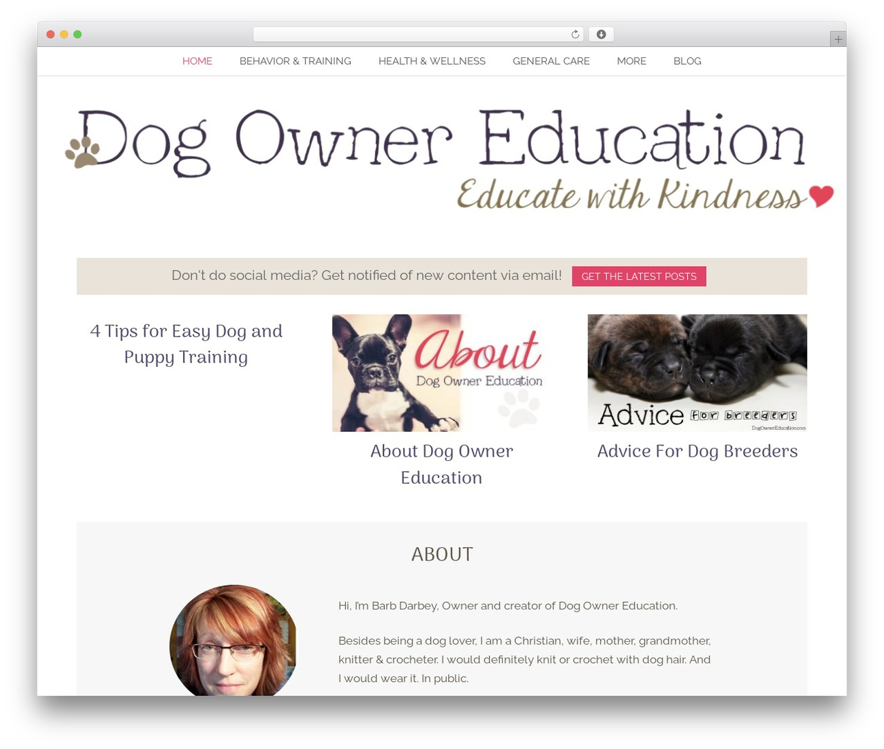 Theme WordPress Birch - dogownereducation.com Theme WordPress Birch - dogownereducation.com