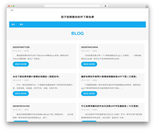 Theme WordPress Shuttle - atmallnet.com