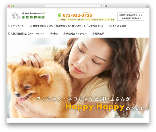 Themify Basic theme WordPress - akashi-ah.com