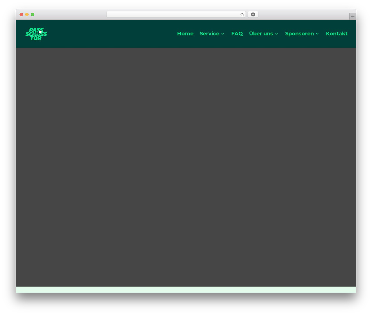 WordPress theme Divi - passschusstor.de WordPress theme Divi - passschusstor.de