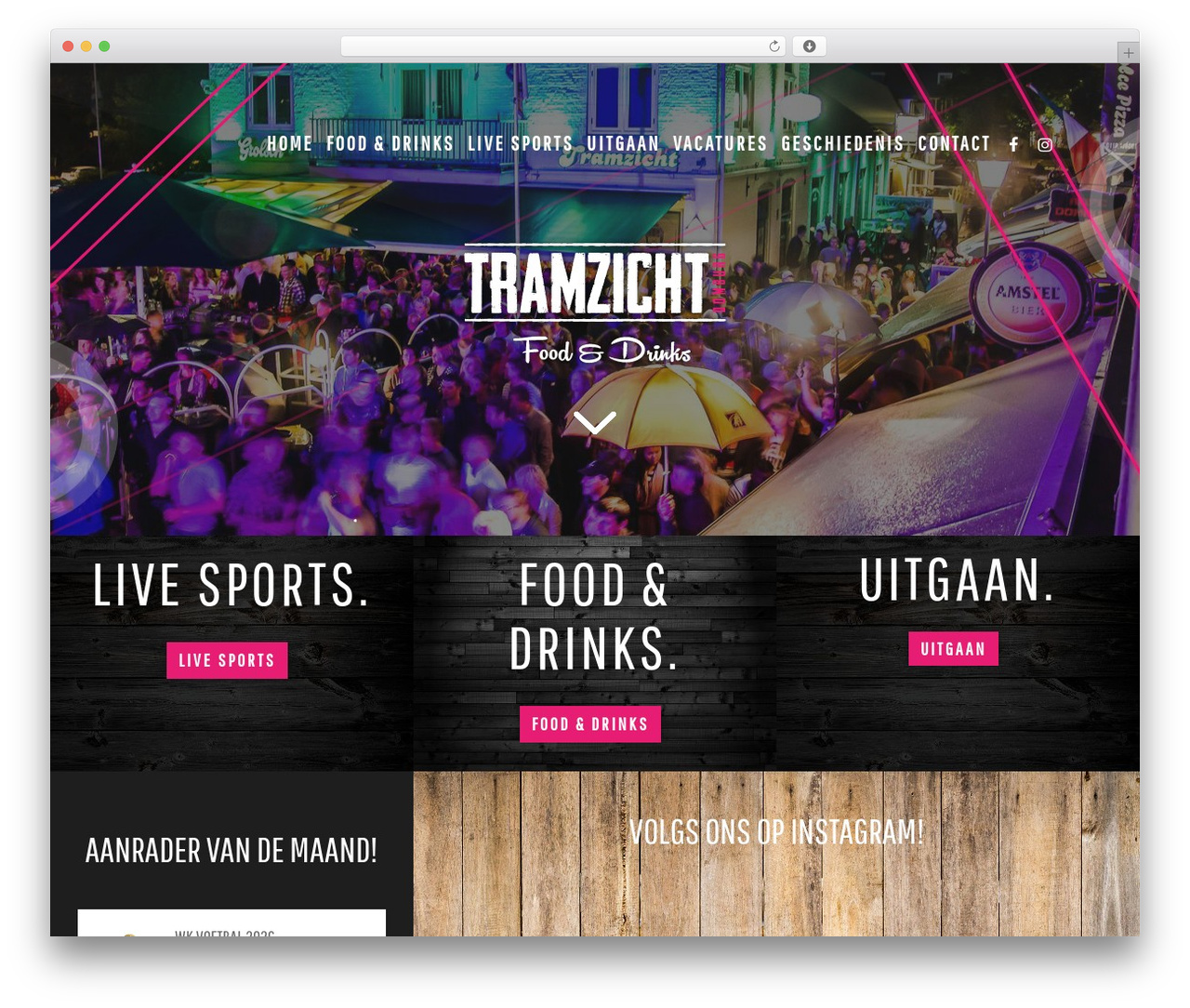 WordPress theme Optimizer PRO - tramzicht.nl