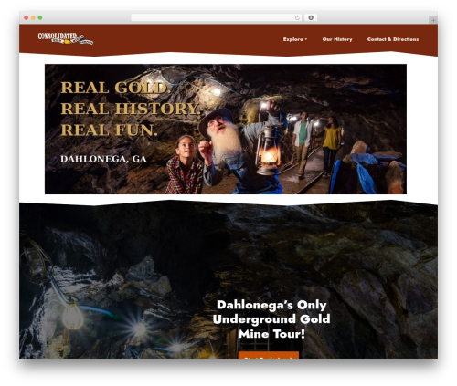 AppStudio WordPress theme - consolidatedgoldmine.com