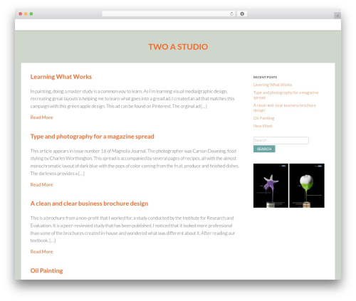 Best WordPress theme Nectar - twoastudio.com