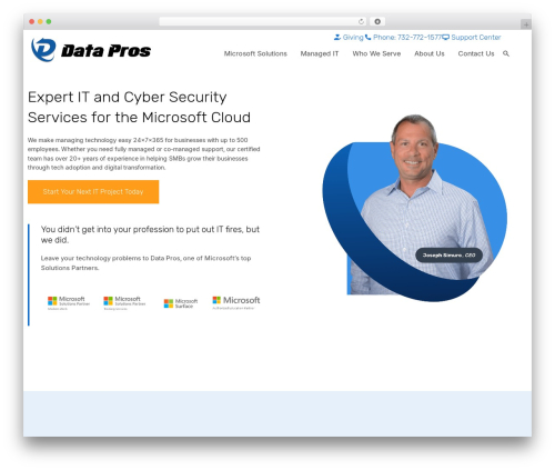 Pronto lead insights WordPress plugin - www.the-data-pros.net