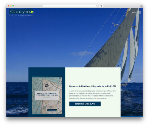 JJ NextGen JQuery Carousel (jj-nextgen-jquery-carousel) free WordPress plugin - katalyse.com