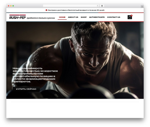 Selection Lite (selection-lite) free WordPress plugin - rushpep.com