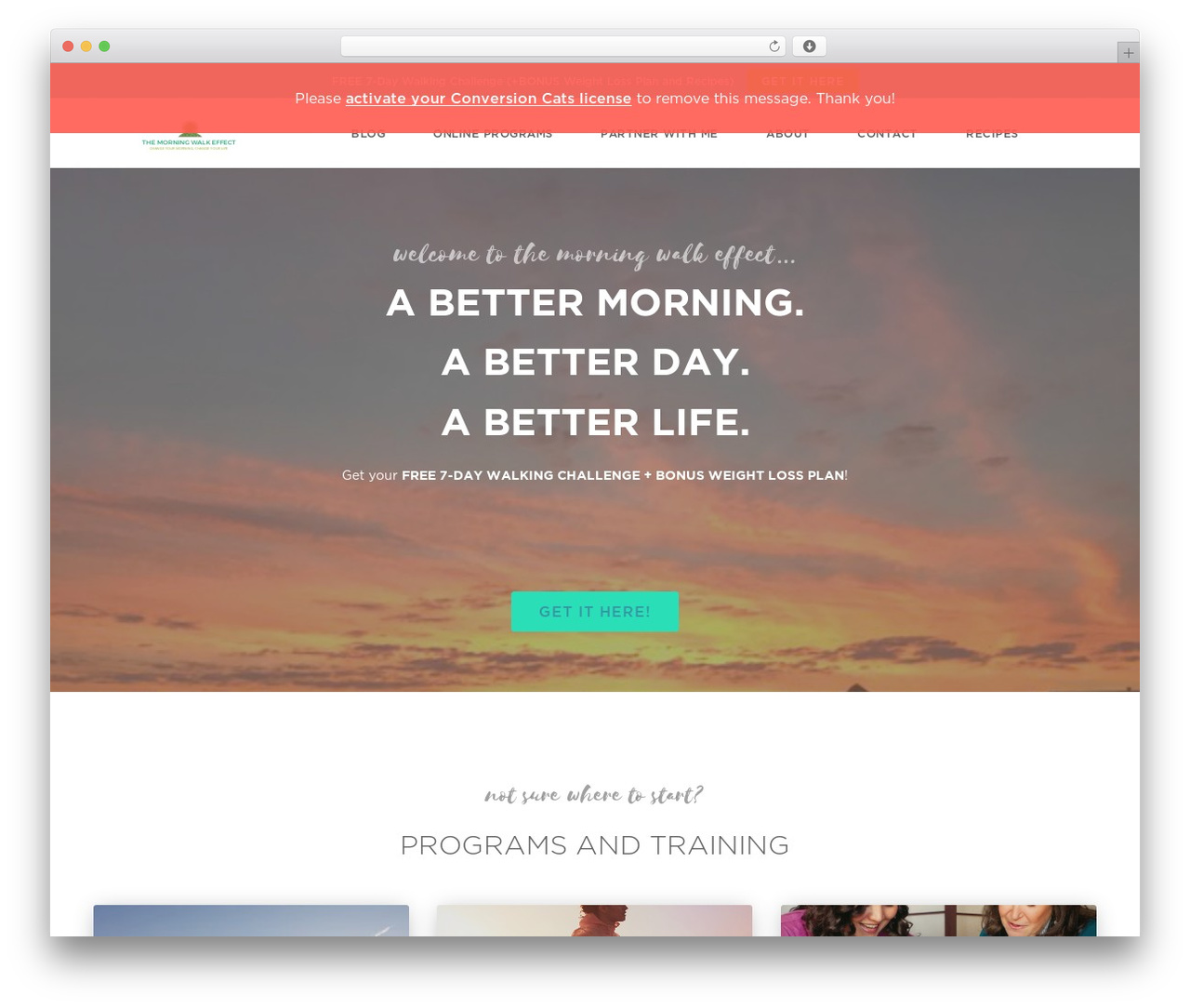 Conversion Cats WordPress theme - themorningwalkeffect.com Conversion Cats WordPress theme - themorningwalkeffect.com
