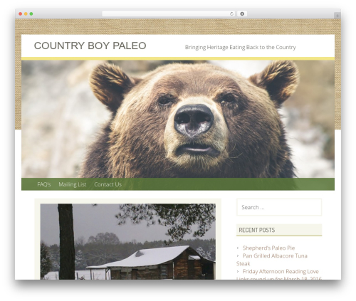 Geiseric WordPress theme - countryboypaleo.com
