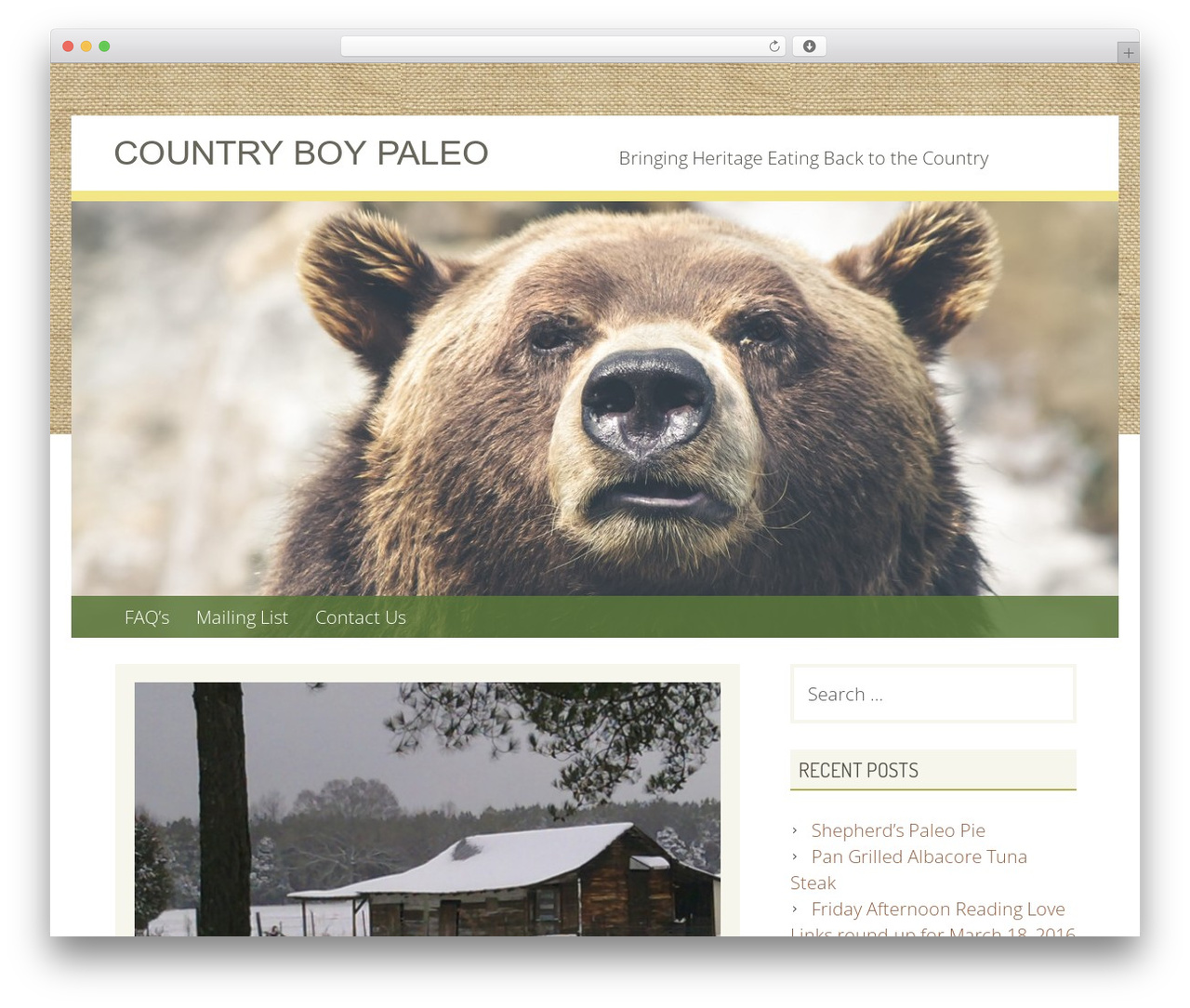 Geiseric WordPress theme - countryboypaleo.com