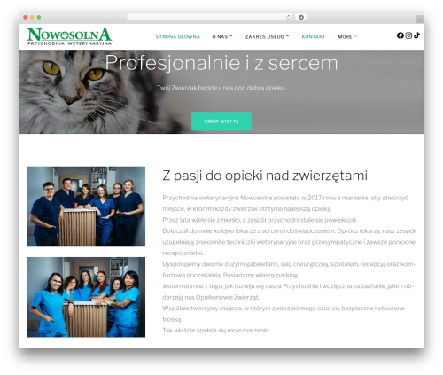 Tm mega menu WordPress plugin - wet-nowosolna.pl