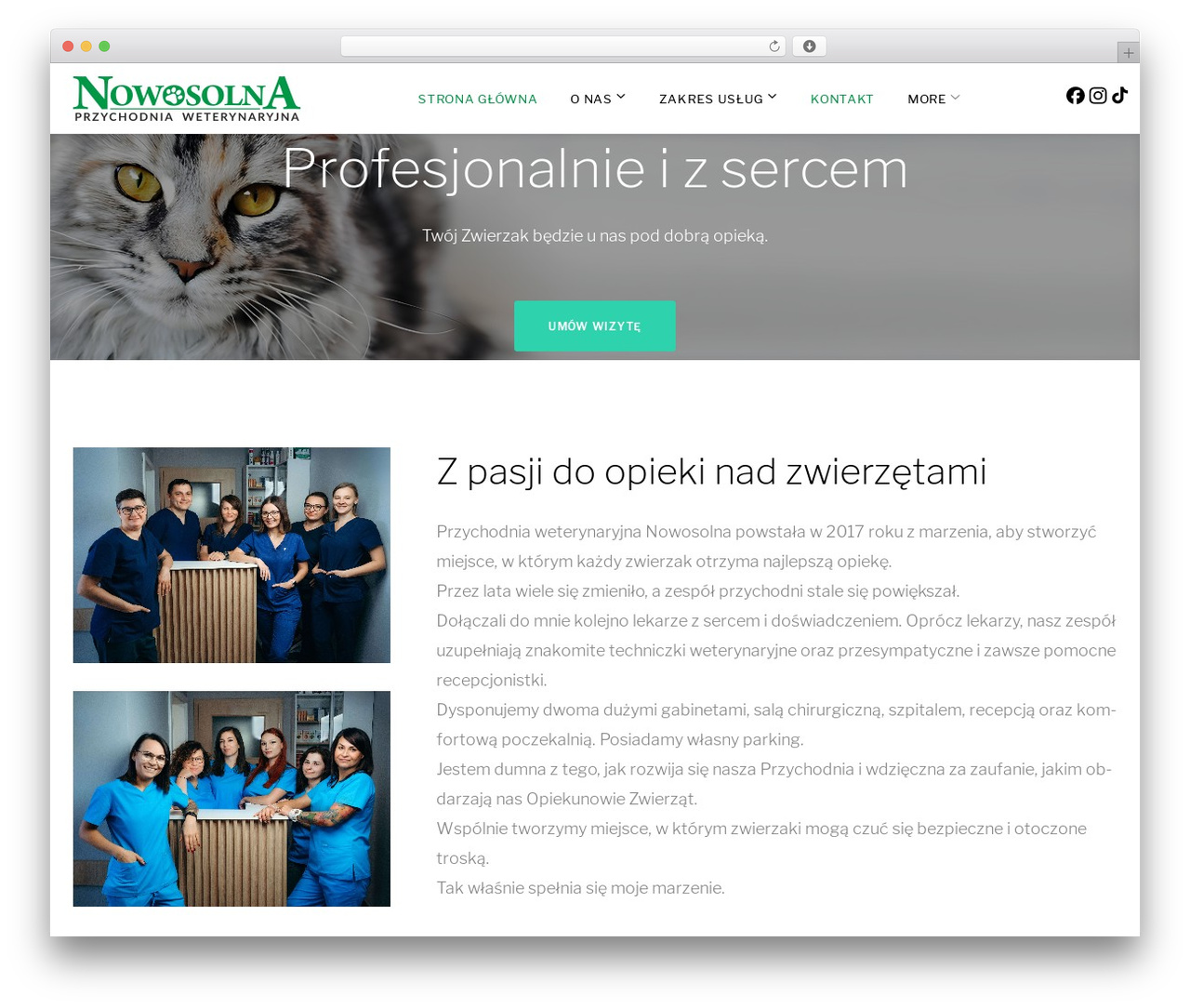 Monstroid2 premium WordPress theme - wet-nowosolna.pl