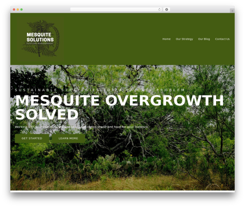 WordPress theme Creative-Ex - mesquite.solutions WordPress theme Creative-Ex - mesquite.solutions