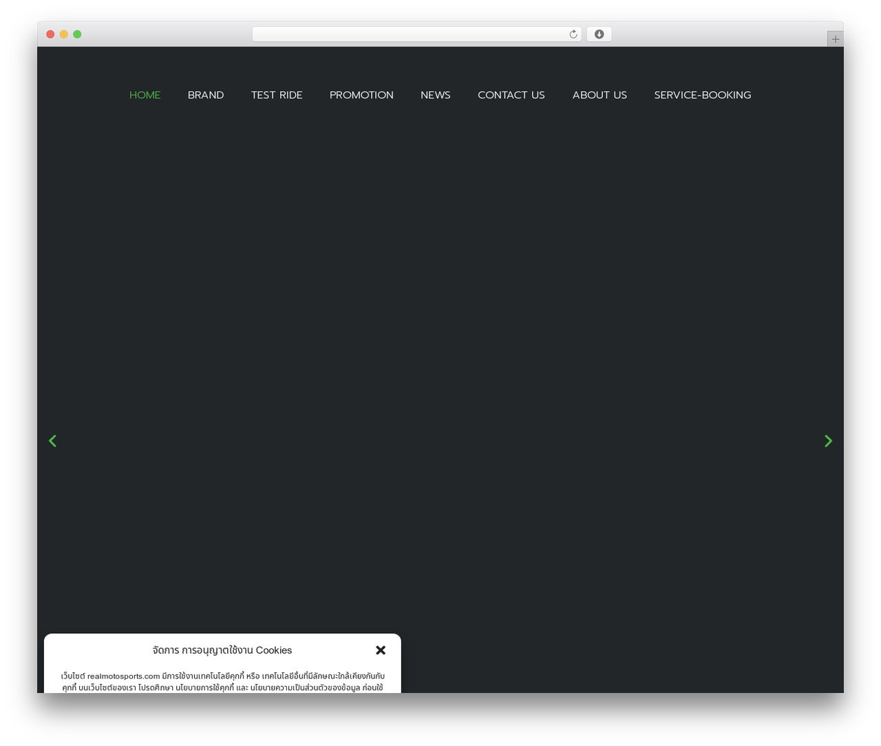 WordPress theme Hello Elementor - realmotosports.com