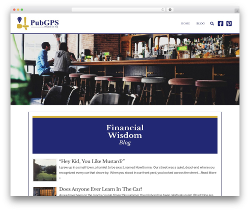 WordPress theme Pro - pubgps.com