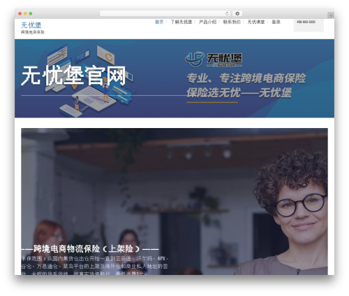 Finance Advisor WordPress theme - 51sure.com