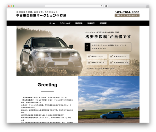 Theme WordPress Themify Basic - auctionagency1.com