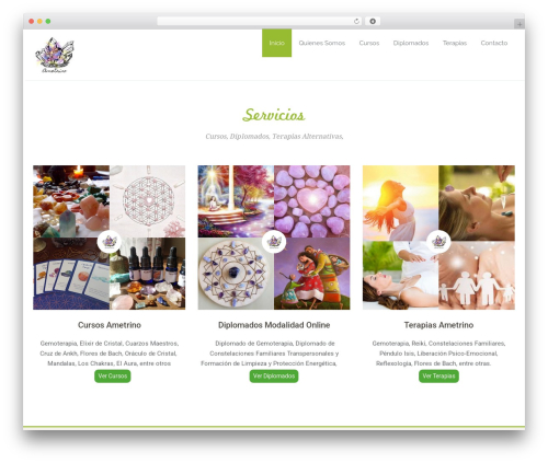 Social Media Icons Widget (spoontalk-social-media-icons-widget) free WordPress plugin - ametrino.cl