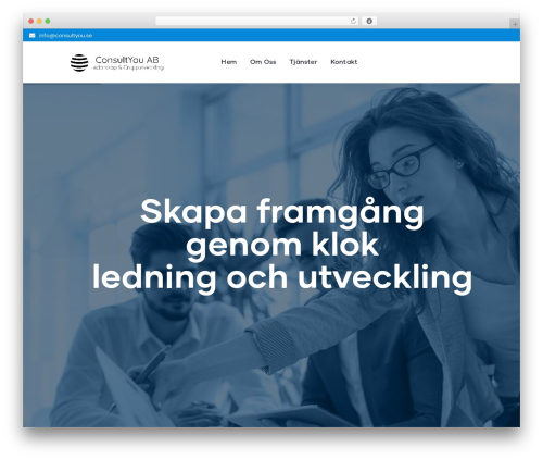 Conult themer WordPress plugin - consultyou.se