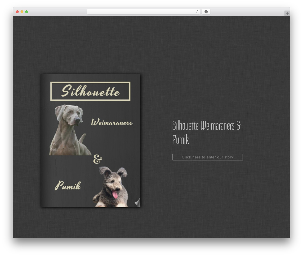 Theme WordPress MagicBook - silhouetteweims.com Theme WordPress MagicBook - silhouetteweims.com