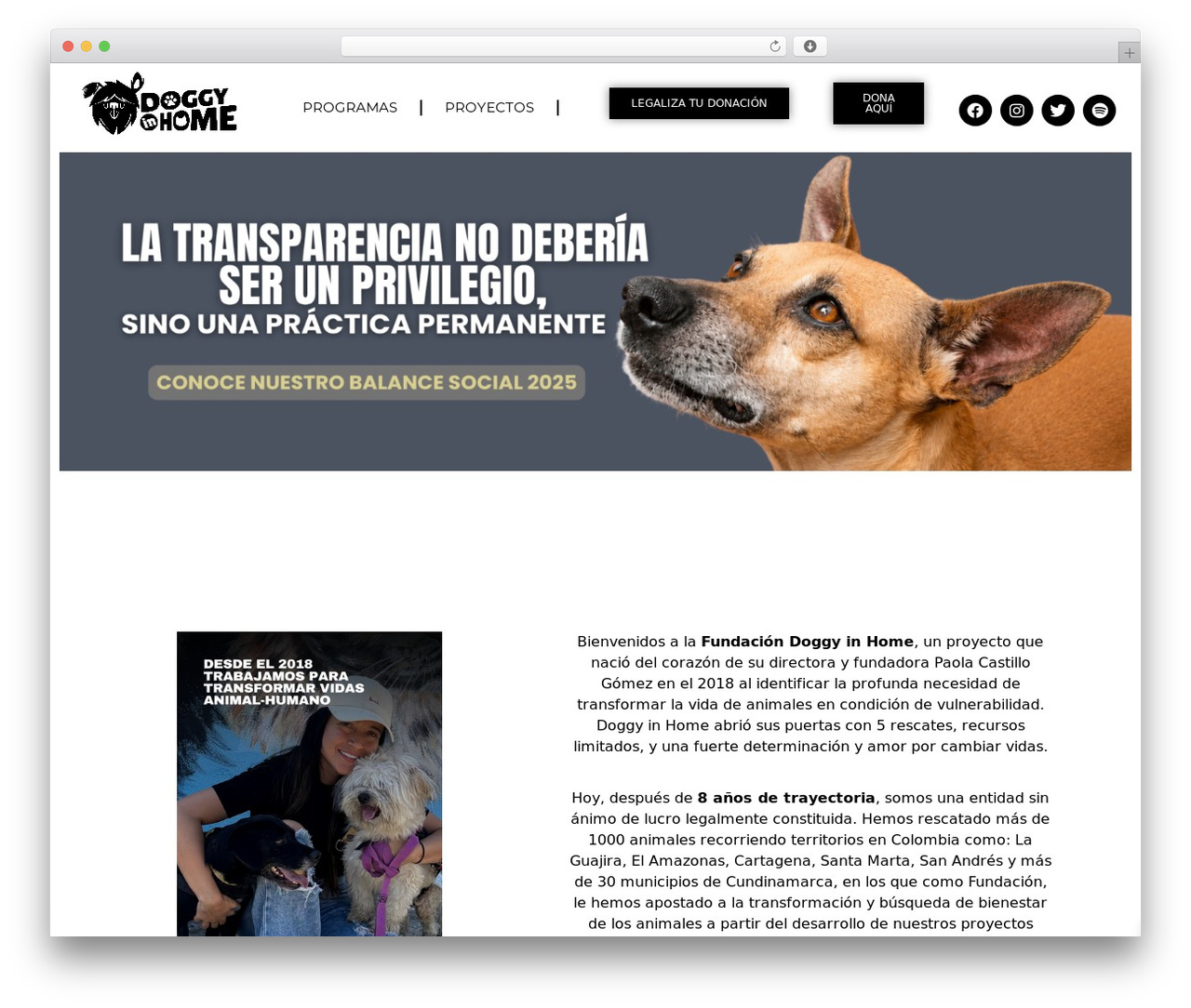WordPress theme Hello Elementor - doggyinhome.org
