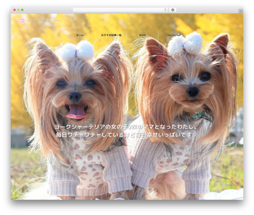 AffiliateX – Best Amazon Affiliate WordPress Plugin (affiliatex) free WordPress plugin - momonoichigo.com AffiliateX – Best Amazon Affiliate WordPress Plugin (affiliatex) free WordPress plugin - momonoichigo.com