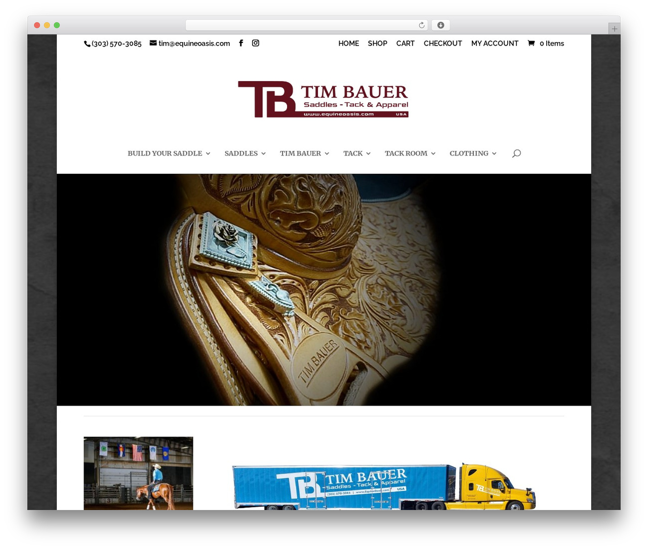 Divi WordPress theme - equineoasis.com