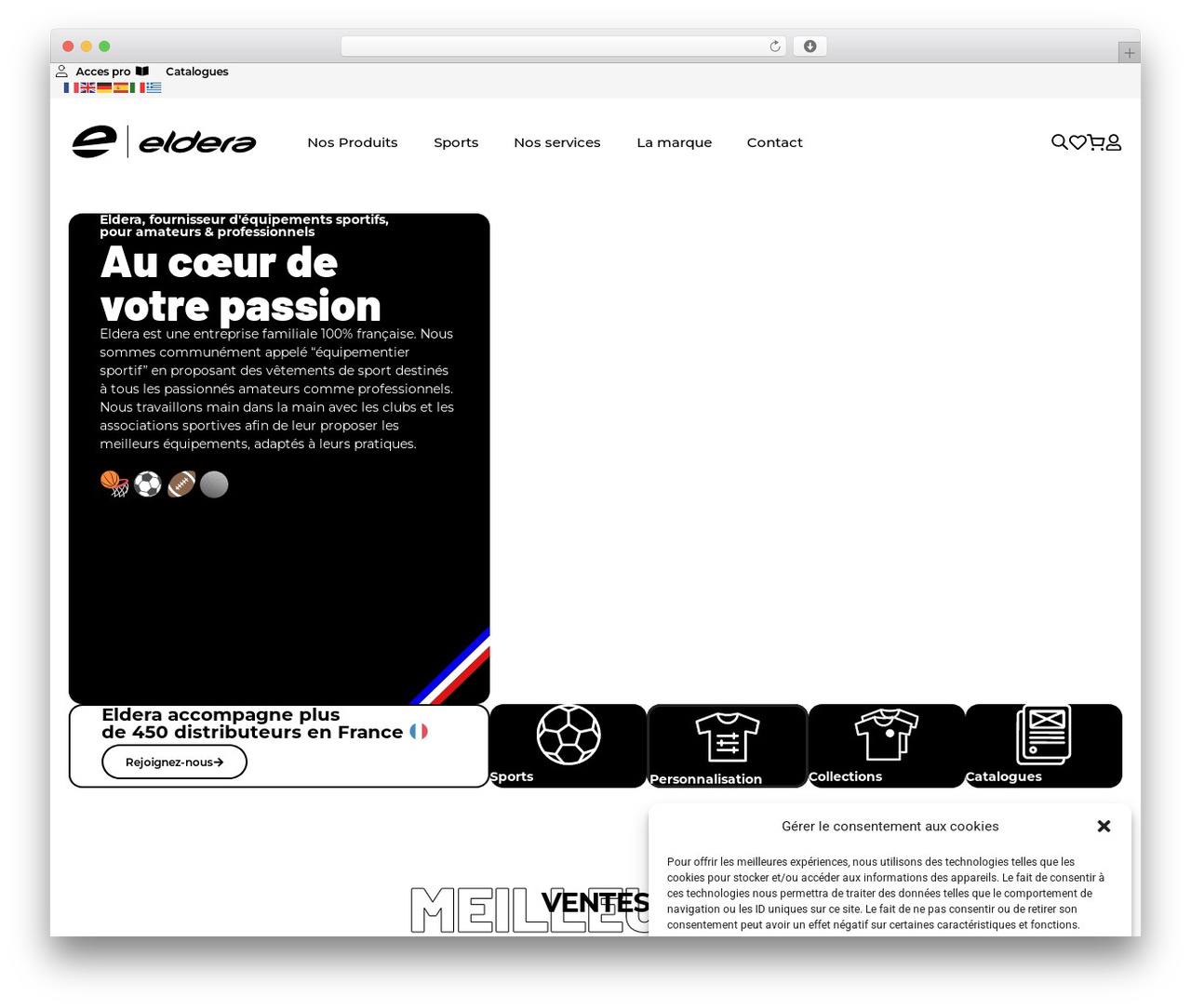 Hello Elementor theme WordPress - eldera.net Hello Elementor theme WordPress - eldera.net