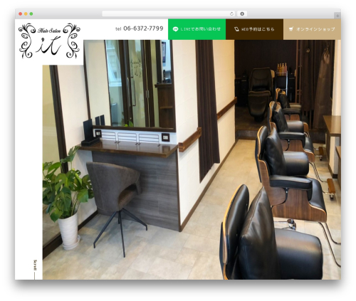 WordPress theme Themify Basic - hairsalon-it.com