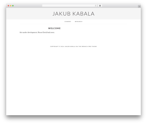 Brunch Pro Theme WordPress theme - jakubkabala.com