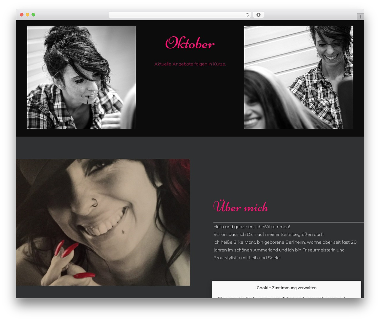 Constructor theme WordPress - crasihair.de