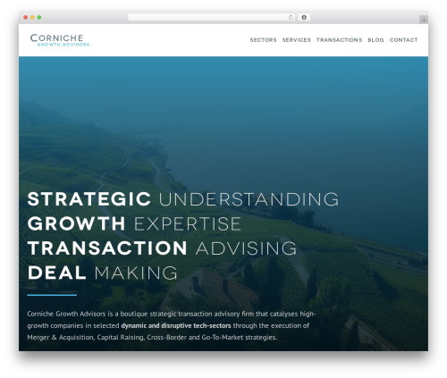 Enlivenem for wp WordPress plugin - cornichegrowthadvisors.com