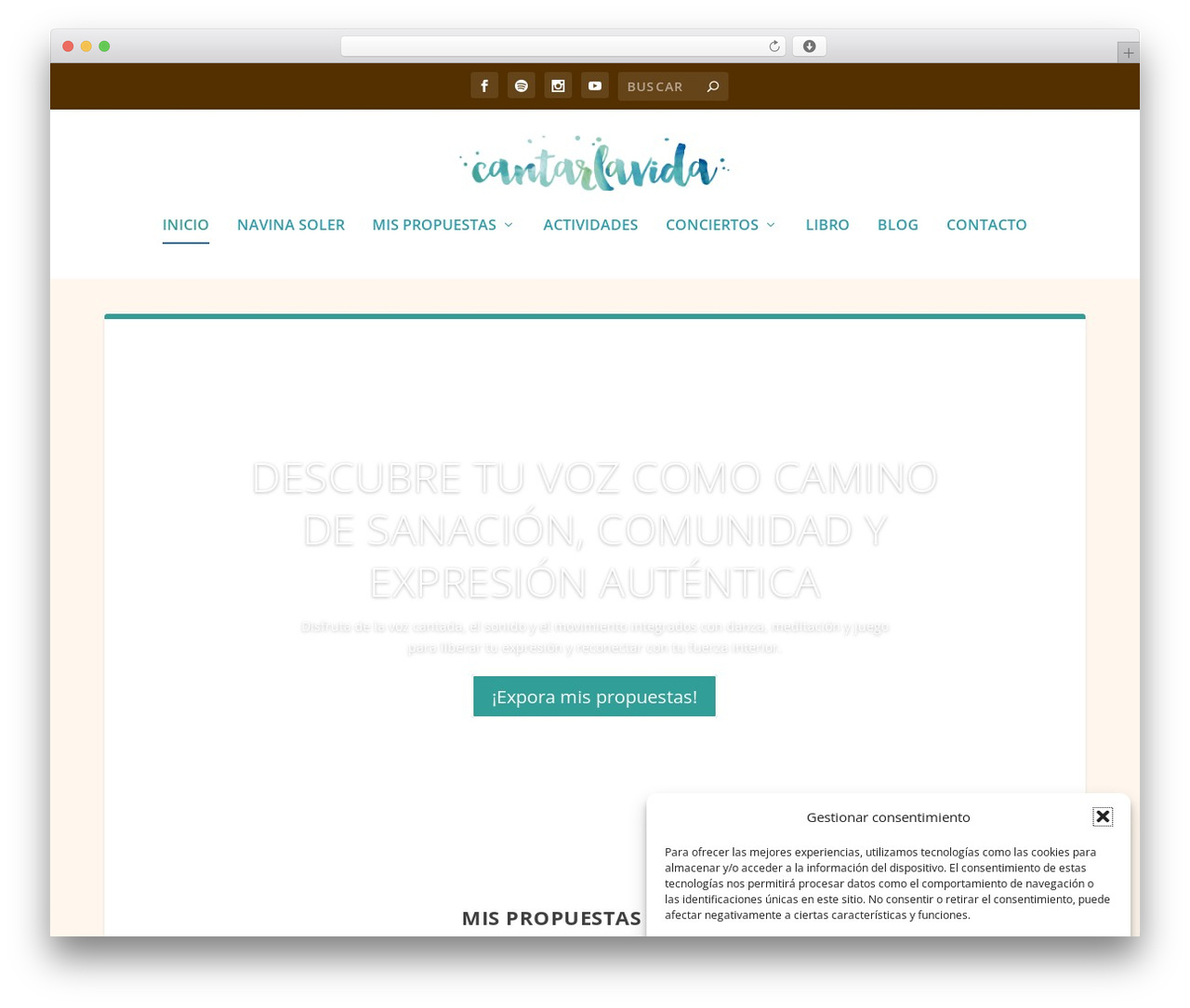Cantar la Vida Theme theme WordPress - cantarlavida.com Cantar la Vida Theme theme WordPress - cantarlavida.com