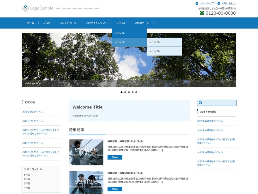 FSV002WP BASIC top WordPress theme by FirstServer,Inc.