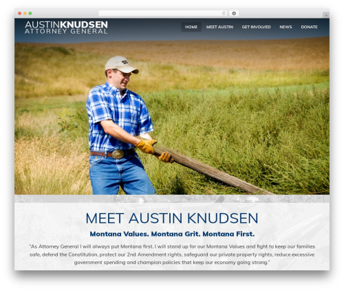 Drick functions WordPress plugin - austinformontana.com