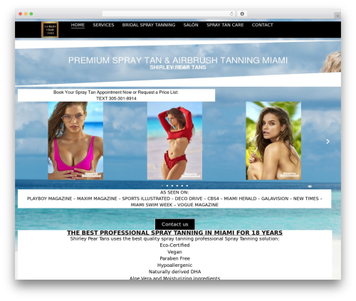 Feeds for tiktok WordPress plugin - shirleypear.com